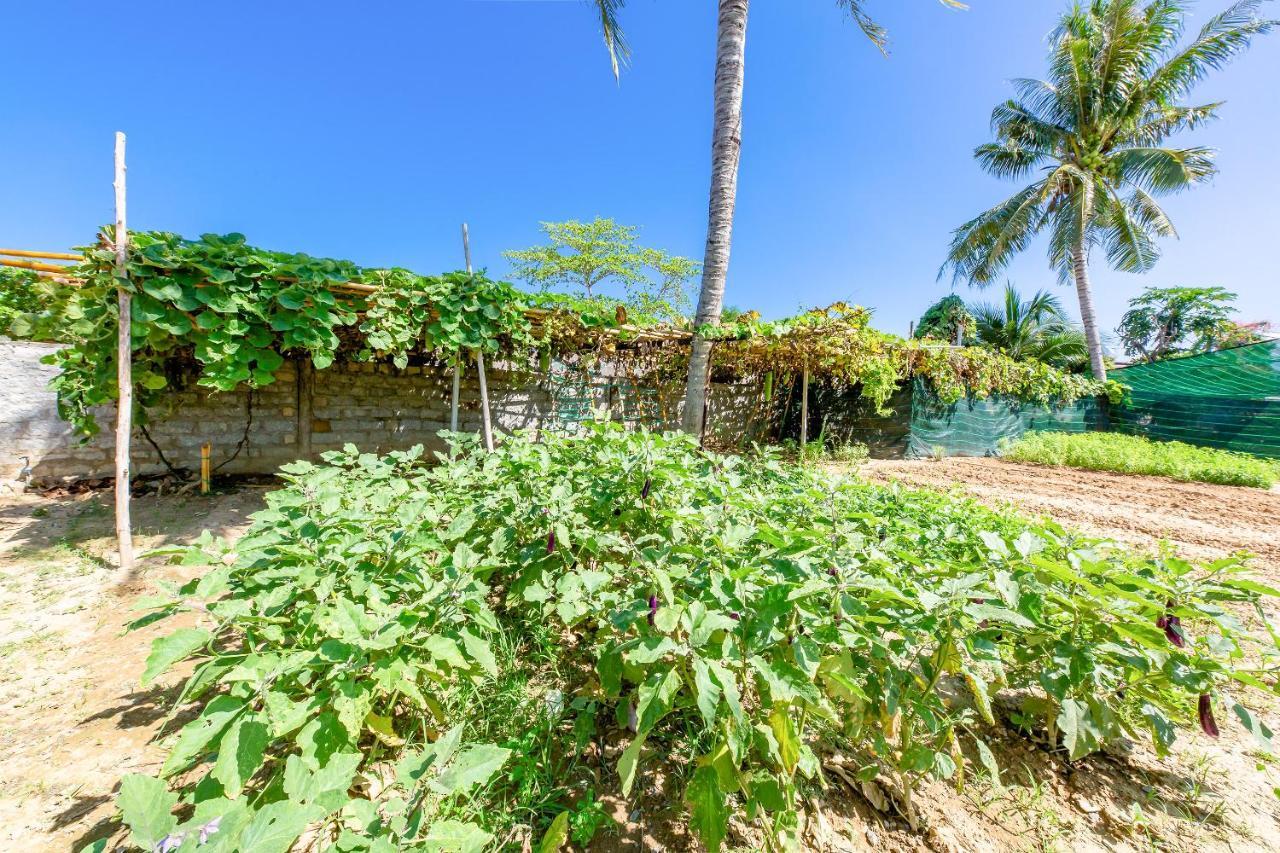 Oyo 426 Klaus Resort Nha Trang Luaran gambar